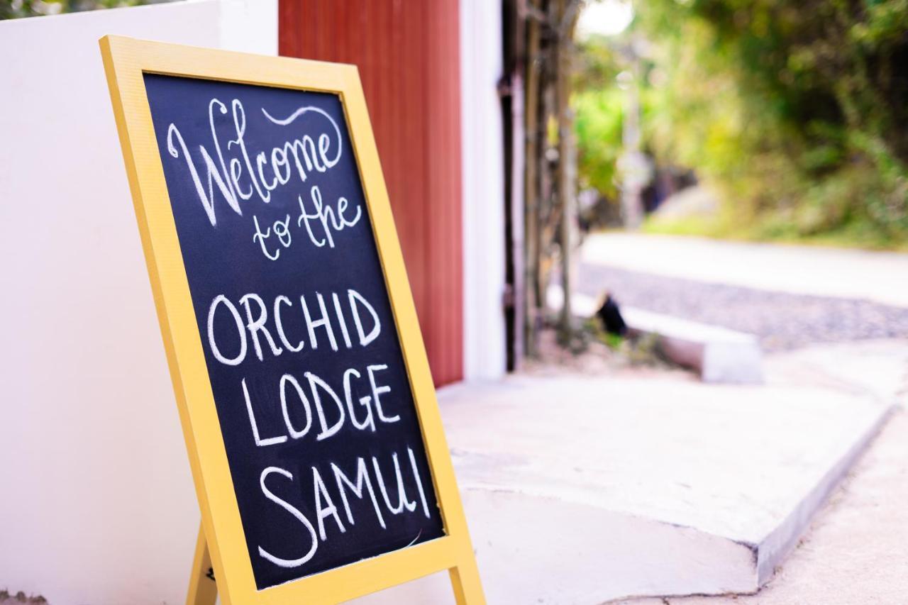 Orchid Lodge Samui - Bed & Breakfast Lamai Beach  Esterno foto
