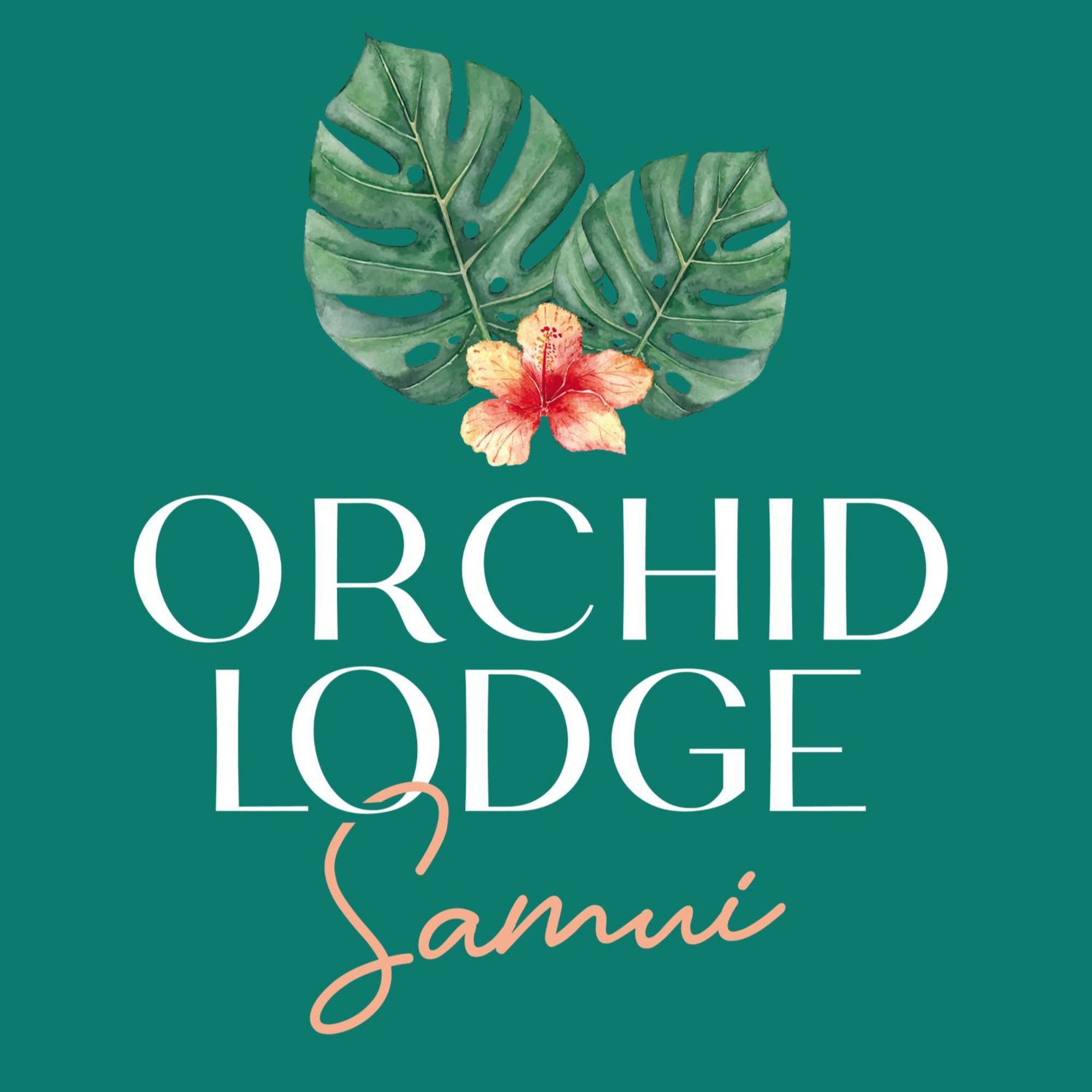 Orchid Lodge Samui - Bed & Breakfast Lamai Beach  Esterno foto