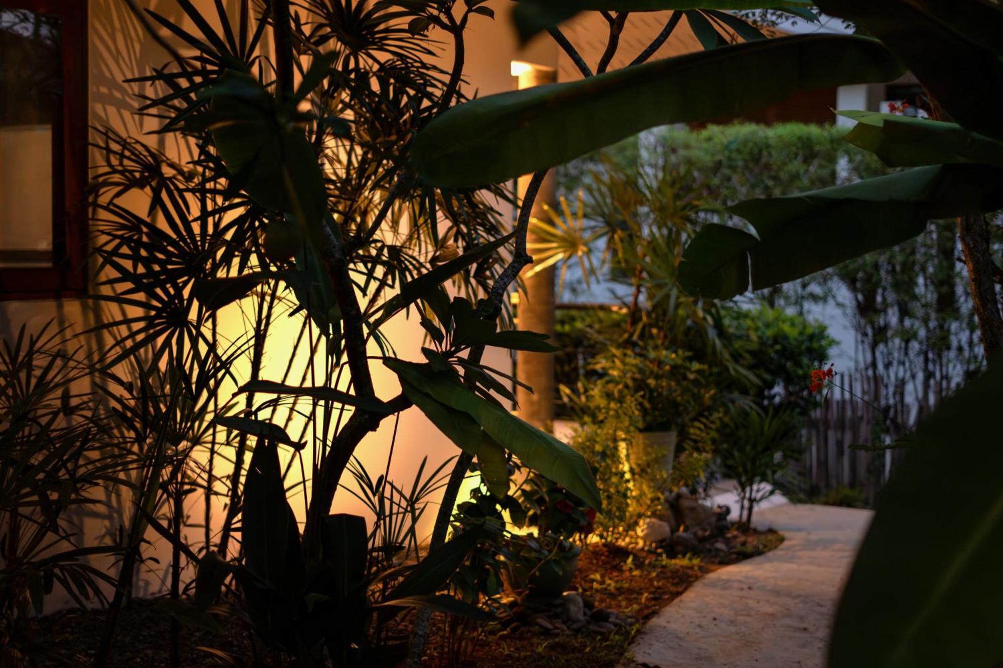 Orchid Lodge Samui - Bed & Breakfast Lamai Beach  Camera foto